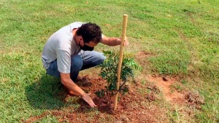 Almir, Animador Laudato si’, se ocupa de las nuevas plantaciones