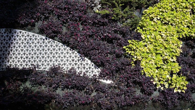 Los colores de la Living Chapel