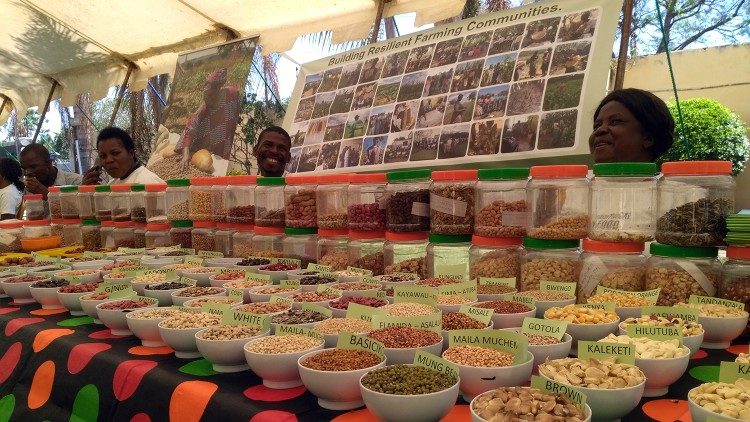Local foods in Zambia at the National Food and Seed Festival held this Friday in the capital, Lusaka