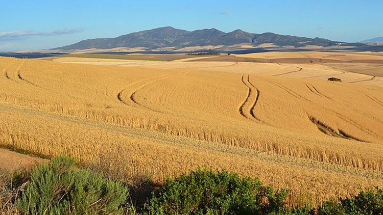 A man went on a journey...and called his servants...