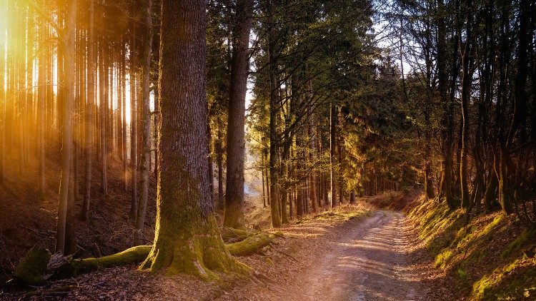 In cammino sulle strade dell'Umbria e sui passi dei primi frati francescani