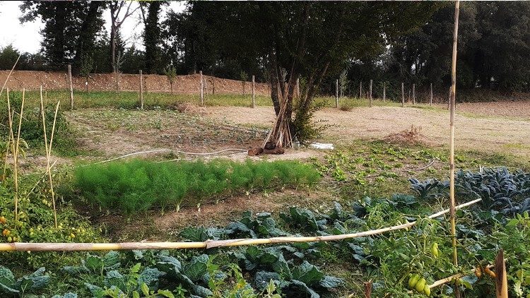 A Horta Laudato si’