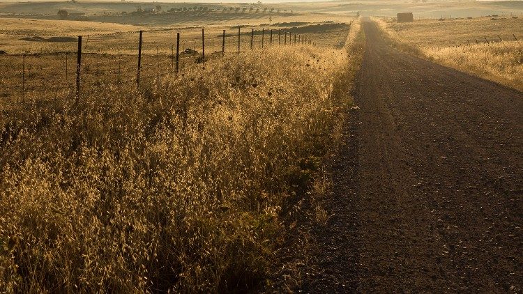 Il 5 dicembre si celebra la Giornata mondiale del suolo 