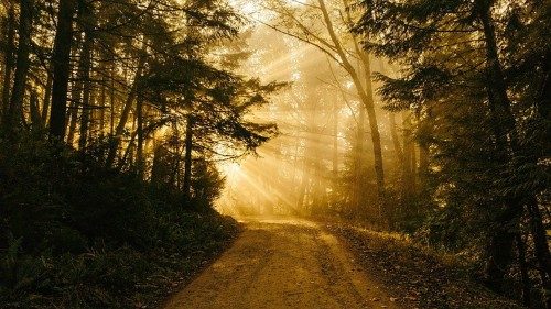 Settimana Sociale, il Papa: abbiamo bisogno di speranza e di cambi di rotta