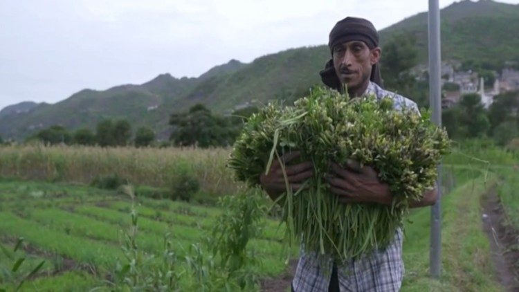 Rashed porta il suo raccolto al mercato