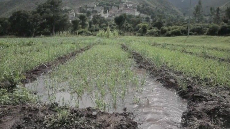 la città di Ibb e i campi irrigati dalla pompa d'acqua ad energia solare