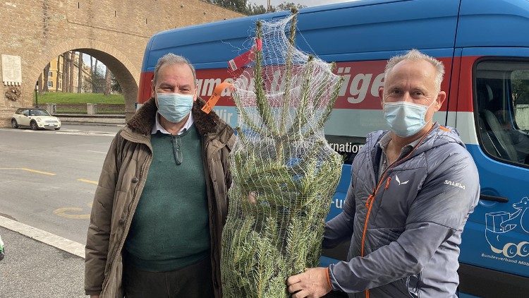 Die Weihnachtsbäume kamen vom Bodensee