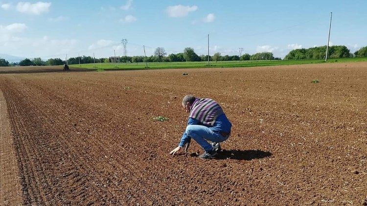 Клаудіо Пальяччя на своєму полі 