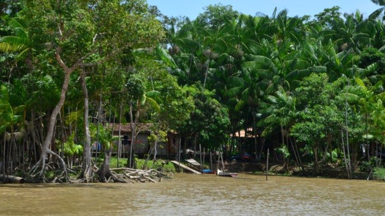 Forêt amazonienne (photo d'illustration)