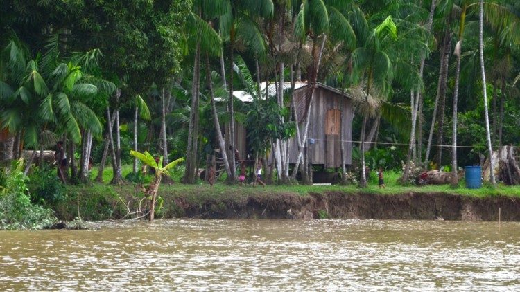 Amazônia