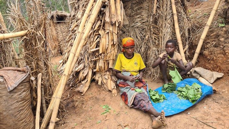 Pigmeje mieszkają w szałasach