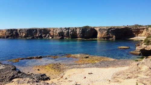 Laudato si', el compromiso de un sacerdote contra la cementificación salvaje