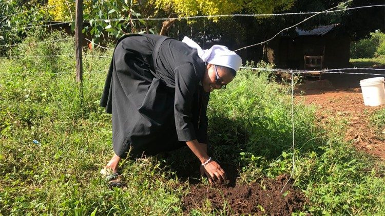 Una religiosa planta un árbol en el bosque de Kakamega