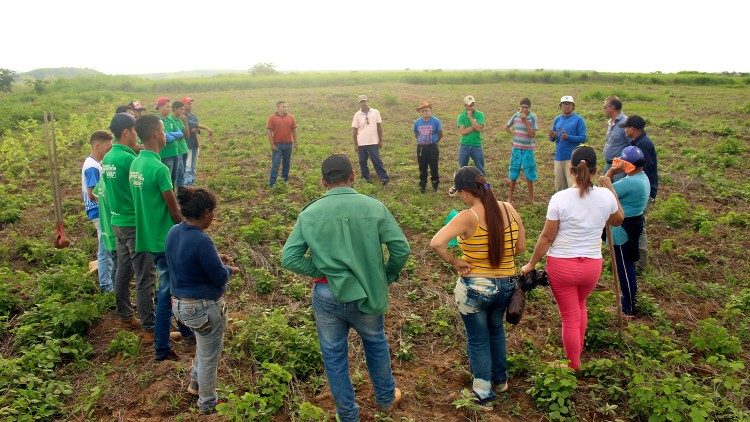 Молоді учасники проекту «Ciranda» під час навчання на полі