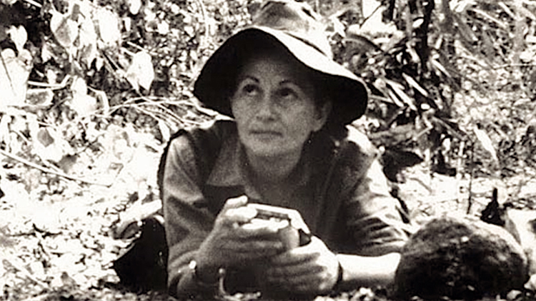  Marianella Garcia Villas