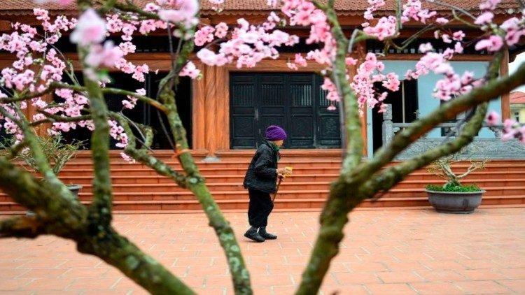 Enfermos de lepra en Vietnam, son asistidos por la Iglesia Católica.