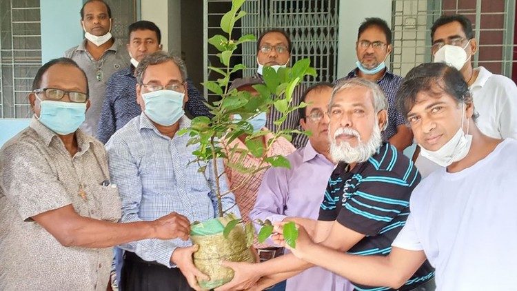 Bangladesh, piantine pronte per essere messe in terra
