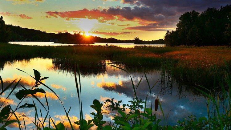 Nell'enciclica Laudato si' Papa Francesco si sofferma sul tema della biodiversità