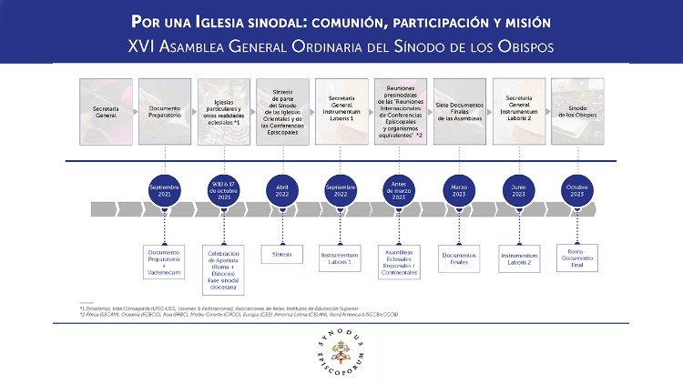 El camino del Sínodo de los Obispos