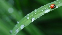 raindrops-574971_1920.jpg