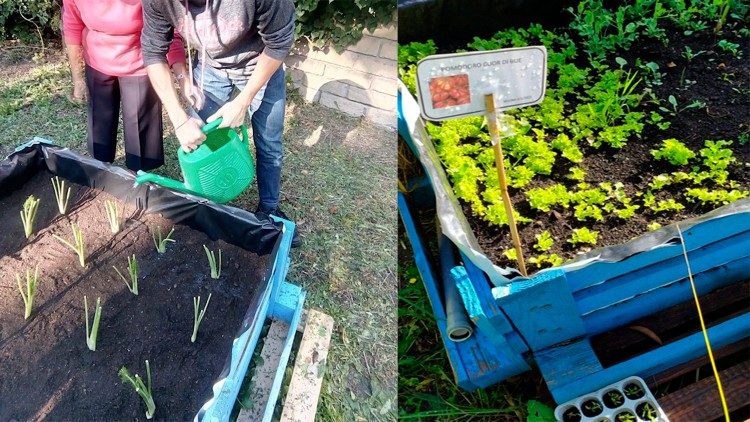 O cultivo de hortaliças na Escola Orazio, em Roma