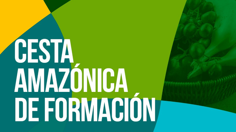El objetivo es profundizar sobre todo aquello que pueda colaborar con la construcción de una Iglesia con rostro amazónico.