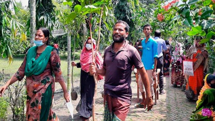 பங்களாதேஷில் மரம் நடும் பணிகள்