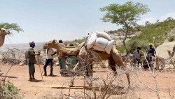Etiopia-Tigray-fame-aiuti-Pam-Wfp-cammello.jpg