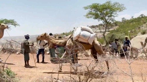 Etiopía: El gobierno acepta las conversaciones de paz