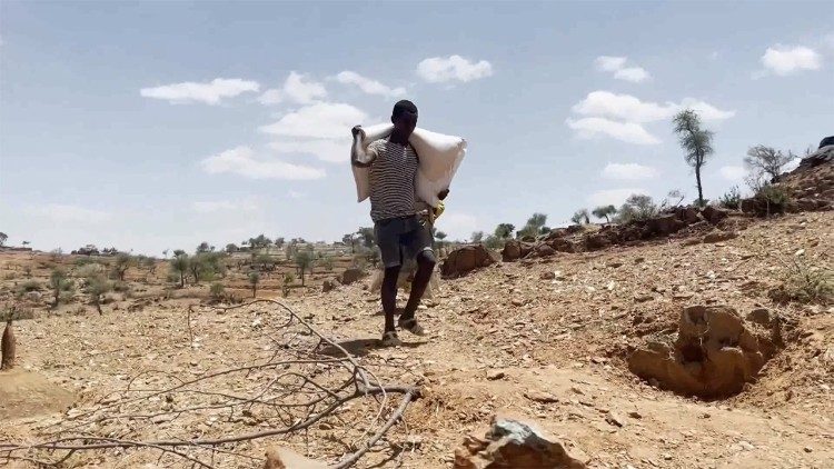 La famine gagne le Tigré éthiopien selon les Nations unies. 