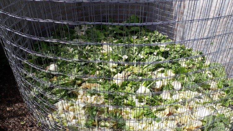 Organic fertilizers and insecticides