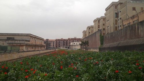  Relatos espontáneos de un renacimiento que comienza con el trabajo de la tierra