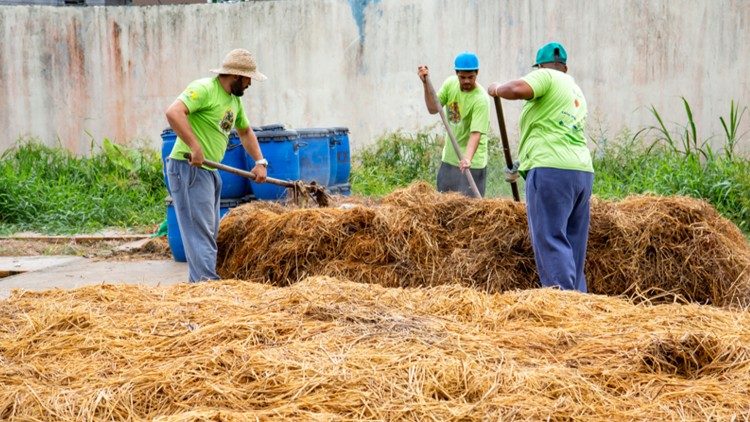 प्रत्येक माह प्राप्त होने वाले 8 टन जैविक कचरे को खाद में परिवर्तित किया जाता है