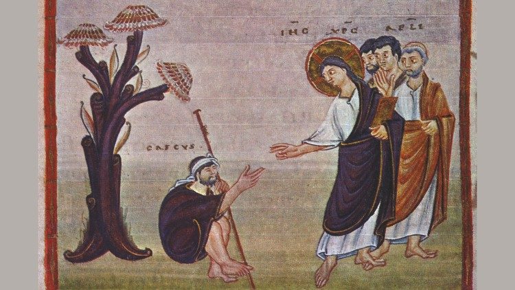 Evangelho do domingo 