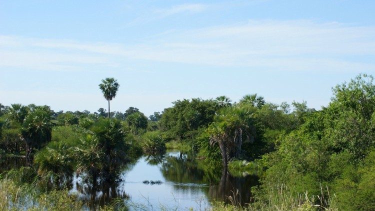 El "tapón del Darién", una selva que separa Colombia y Panamá, es uno de los lugares más peligrosos para los emigrantes que intentan llegar a Norteamérica.
