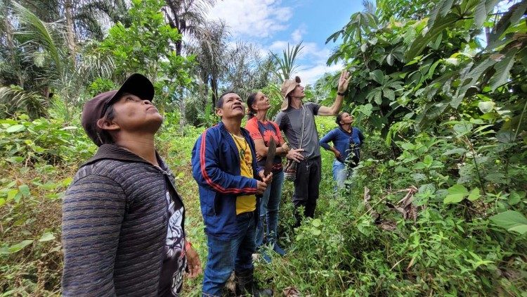 Aula Viva na Agricultura Agroflorestal