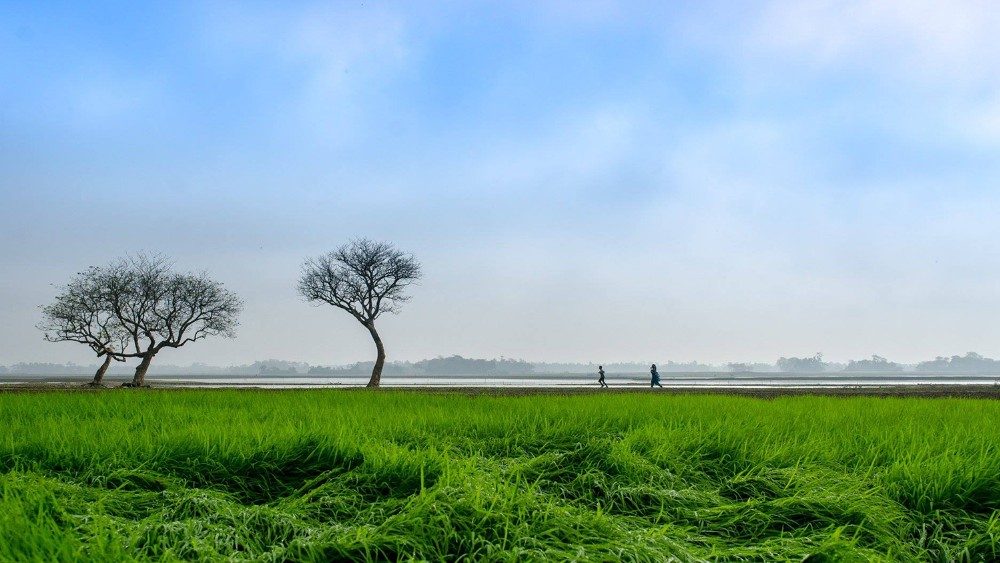 Un'immagine dell'esposizione