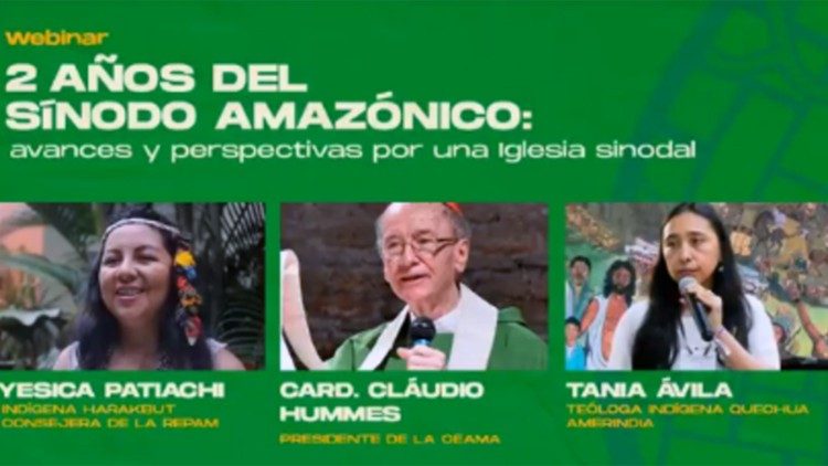 Webinar para reflexionar sobre los frutos del Sínodo Amazónico.
