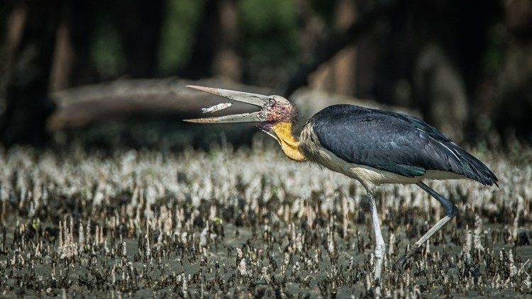 "Emociones para generar el cambio"