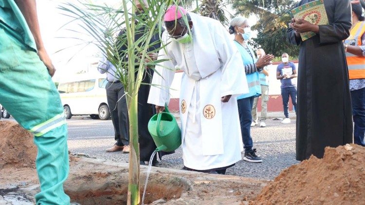 Dom Francisco Chimoio, Arcebispo de Maputo (Moçambique), e a iniciativa "Cuidar da nossa Casa Comum"