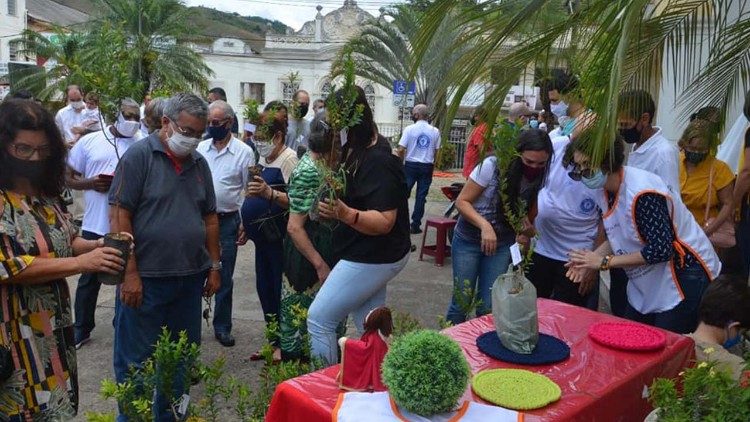 Paróquia distribui mudas de árvores 