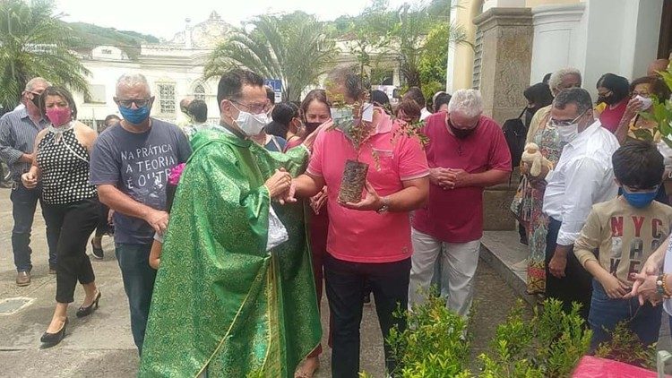 Fiéis receberam mudas de árvores 