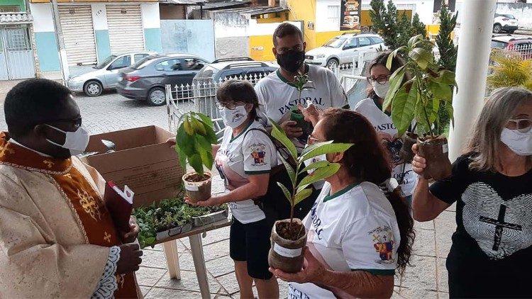 Padre Janvier abençoa as mudas