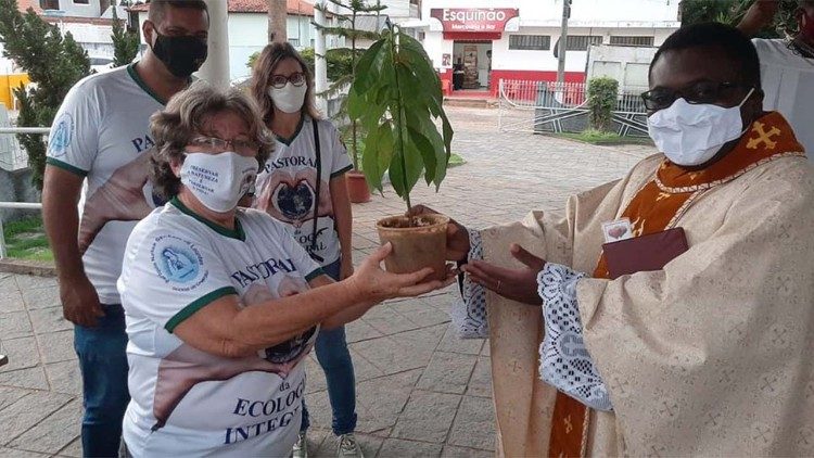 Padre Janvier doa as mudas