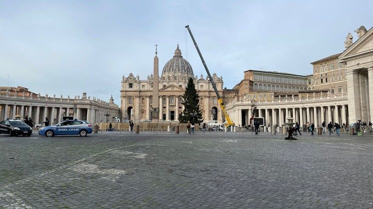 L'albero di Natale di quest'anno è alto 28 metri