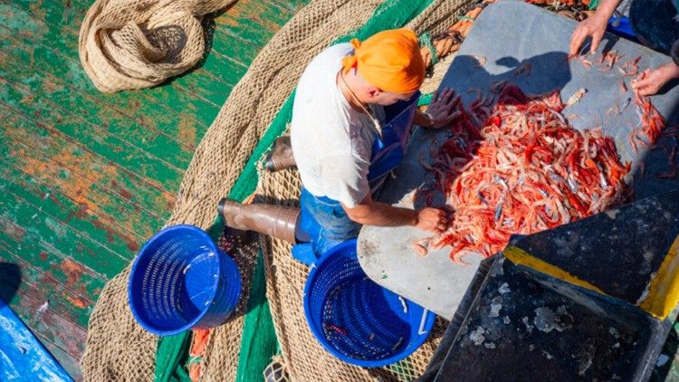 Il gambero rosso appena pescato sul "Medinea"