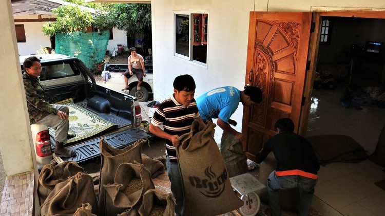 El procesamiento del "Café Bruno"