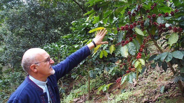 El Padre Bruno Rossi controla una plantación de café
