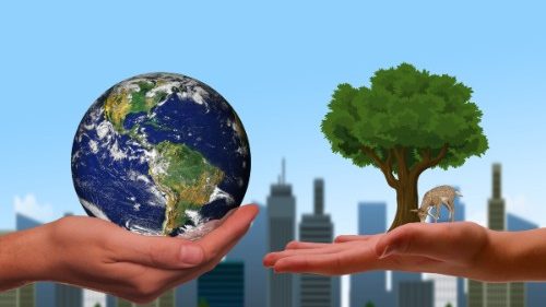 El Papa lanza la plataforma Laudato si': “hay que perseguir la ecología integral”