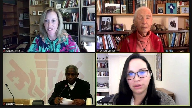 Webinar on Biodiversity organized by the Dicastery for Promoting Integral Human Development